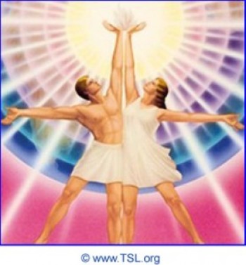 Inner Contact of Twin Flames