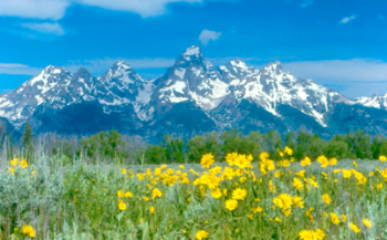 Lord Lanto – Universities of the Spirit