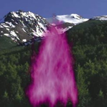 Violet Flame Mantra & Your Ascension