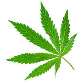 Online Radio – Marijuana Revisited