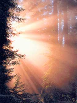 Online Radio: The Art of Practical Spirituality