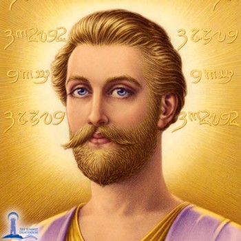 The Role of the Freedom Fighter