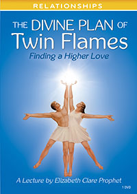 Divine Plan of Twin Flames - DVD