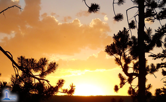 Online Radio: Fight for the Light!