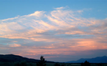 Scale the Summit of Identification with Immortality