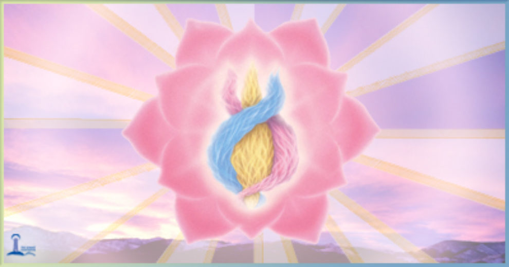 Harmony Begins with the Heart