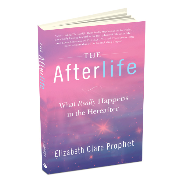 The Afterlife - Book