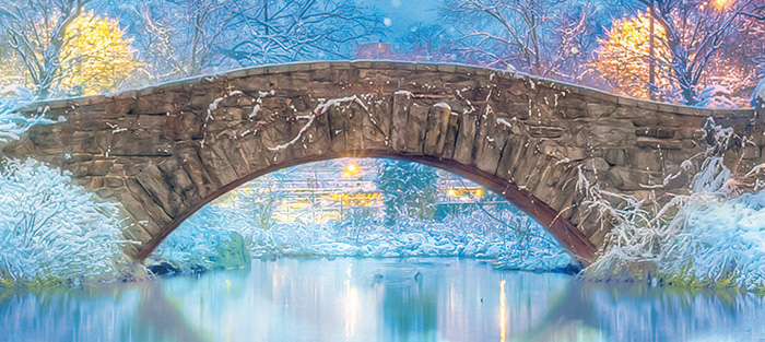 Build a bridge to the future